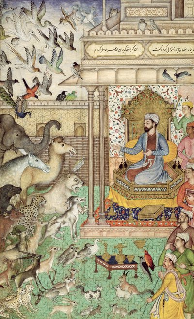 Rey Salomón y los animales de Indian School